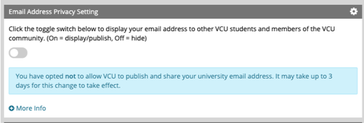 Email address privacy setting